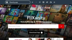 Flixanity – Watch Movies And TV Shows Online [Updated 2021]