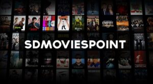 Sdmoviespoint 2021: Download illegally Free Bollywood, Hollywood movies