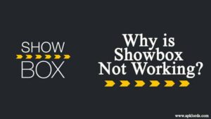 Solve Showbox app issues and enjoy movies and Tv shows hassle-free