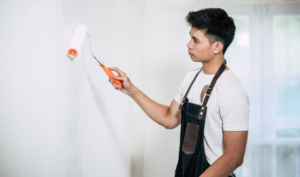 Residential Painting Services Auckland, NZ