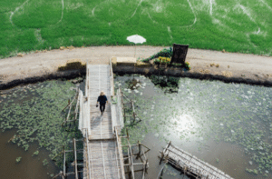 Sewage Treatment